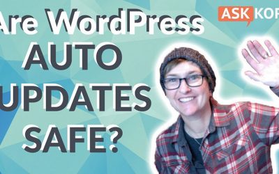 Are WordPress Auto Updates Safe?