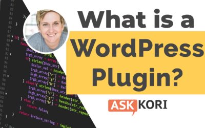 What is a WordPress plugin?